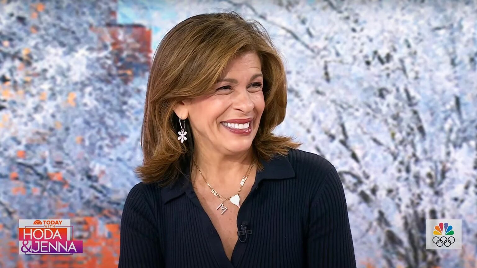 Hoda Kotb’s Next Occupation Strikes After ‘Nowadays’ Exit: Wellness App and Extra