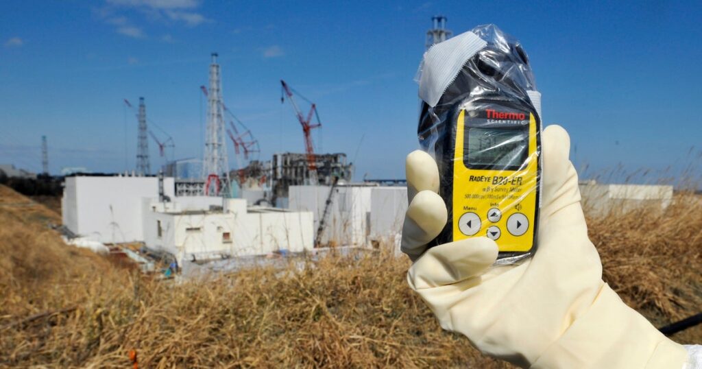Japan High Minister’s Flowerbeds To Utilize A cramped Radioactive Soil From Fukushima