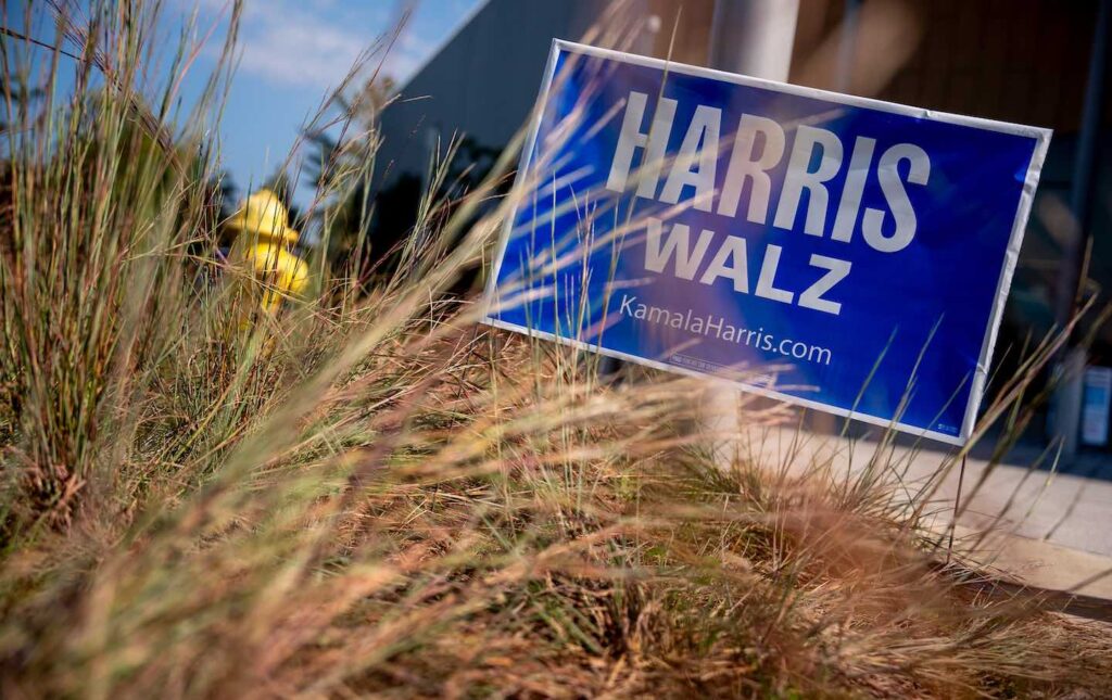 Democrats Still Can’t Figure Out What Took web in 2024