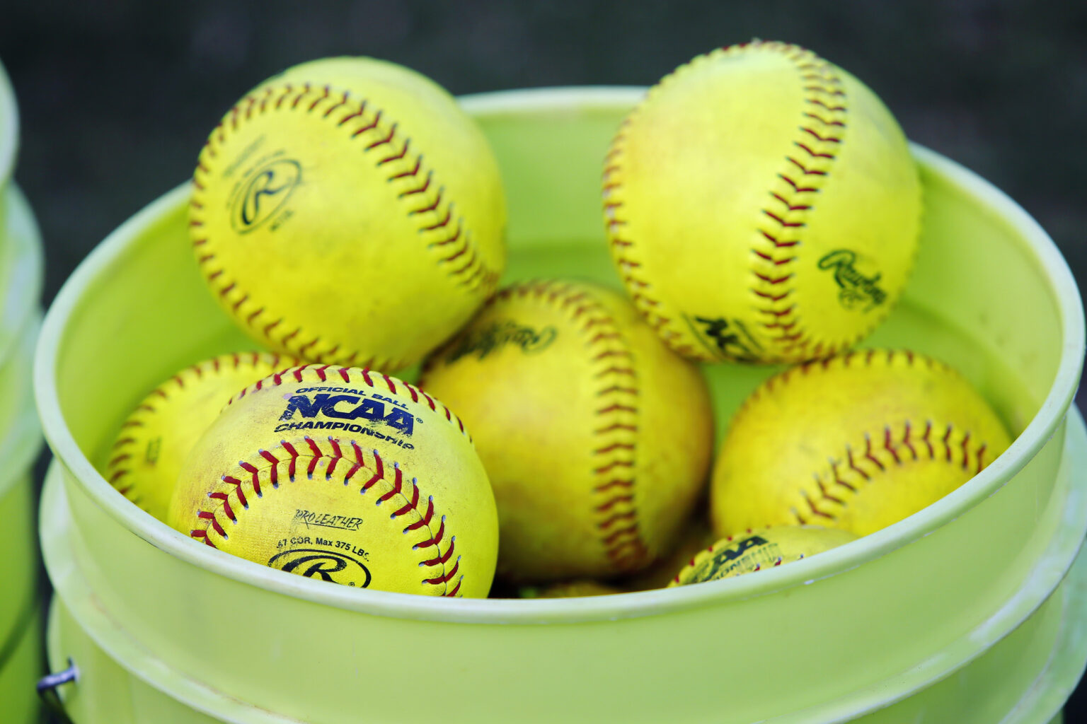 The splendid solution to Survey Oregon vs UCLA: Stay Movement Ladies’s College Softball World Collection, TV Channel