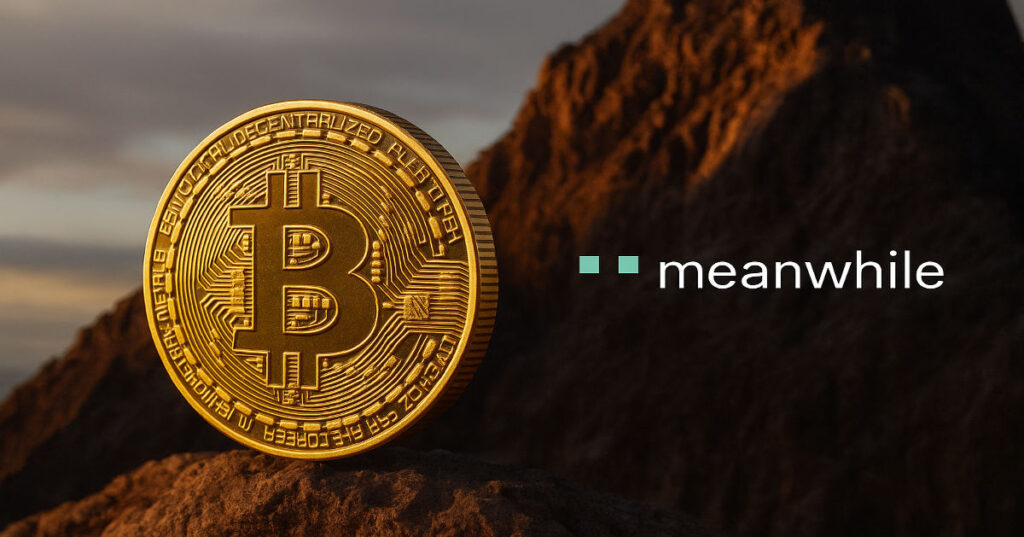 Bitcoin Existence Insurer, Meanwhile, Turns into First Firm to Publish Audited Financials Denominated in Bitcoin