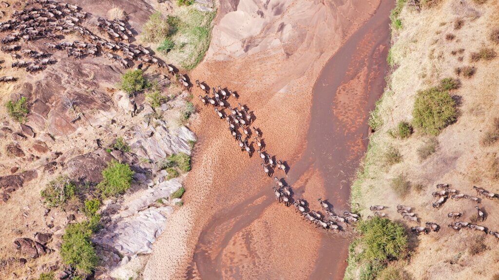 How to plan a trip to see Africa’s Great Migration