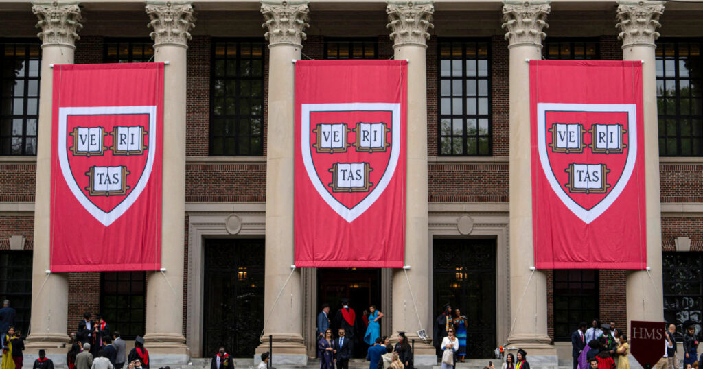 Trump throws one other punch at Harvard — demands more social media vetting of visa applicants