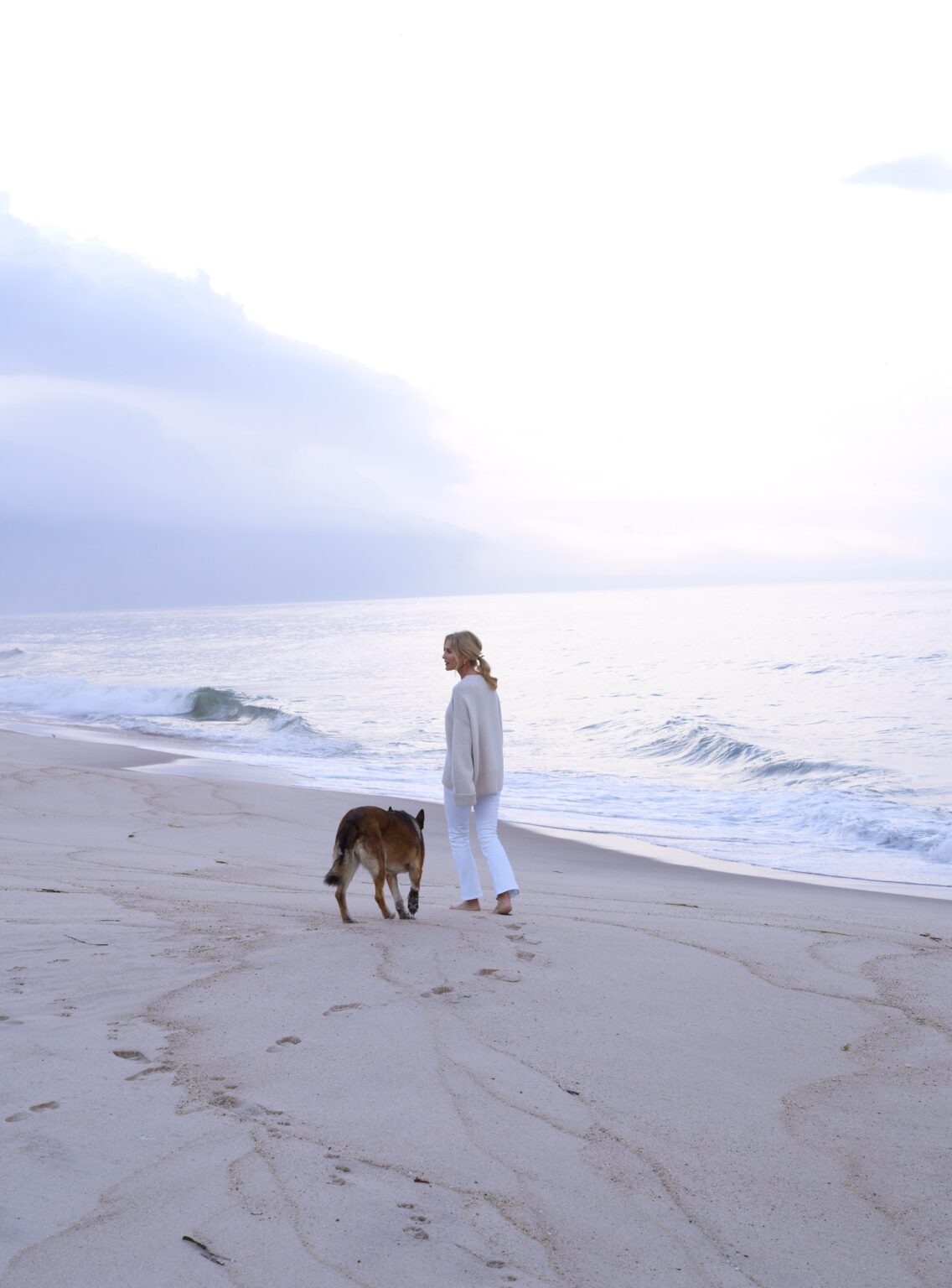 An Launch Panorama, Between the Beach and the Bay, Turns precise into a Household’s Dream Home